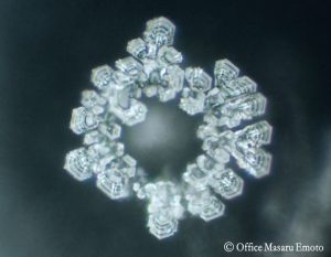 Masara Emoto Lourdeswater